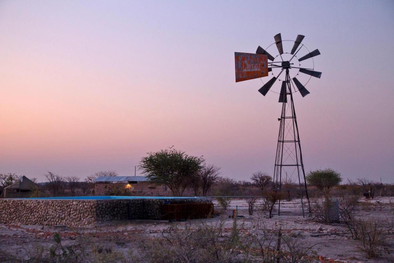 Etosha Trading Post Campsite Okaukuejo Extérieur photo