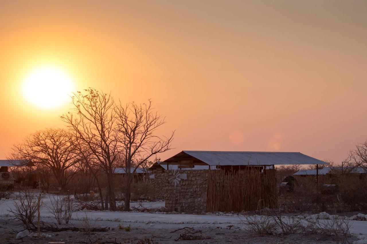 Etosha Trading Post Campsite Okaukuejo Extérieur photo